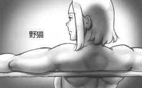 WILDCATS ~ Futanari Chika Battle