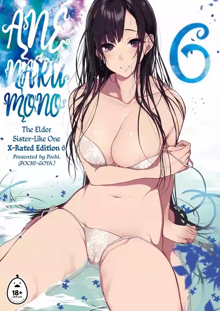 姉なるもの 6