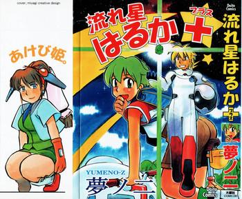 Nagareboshi Haruka Plus