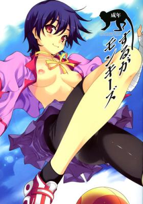 Suruga Monkeys