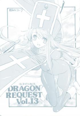 DRAGON REQUEST Vol.13