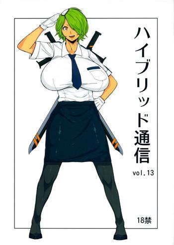 Hybrid Tsuushin vol.13