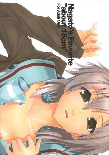 Nagato's Favorite ''about 18cm''